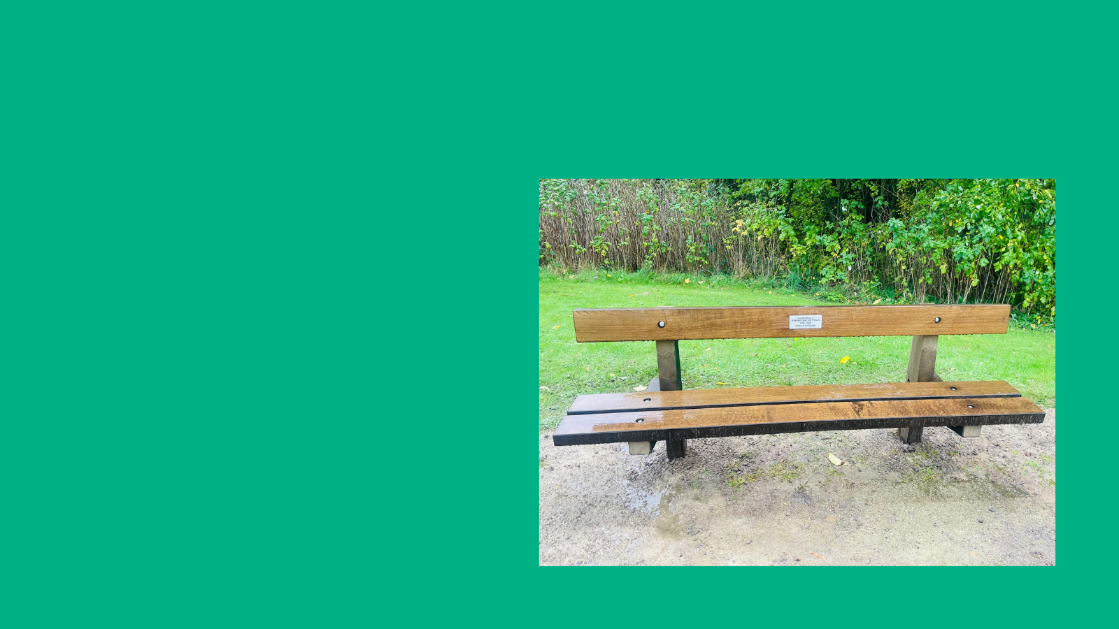 A Lasting Tribute: Honouring Harold Gettings in our beloved Holywell Meadow Image