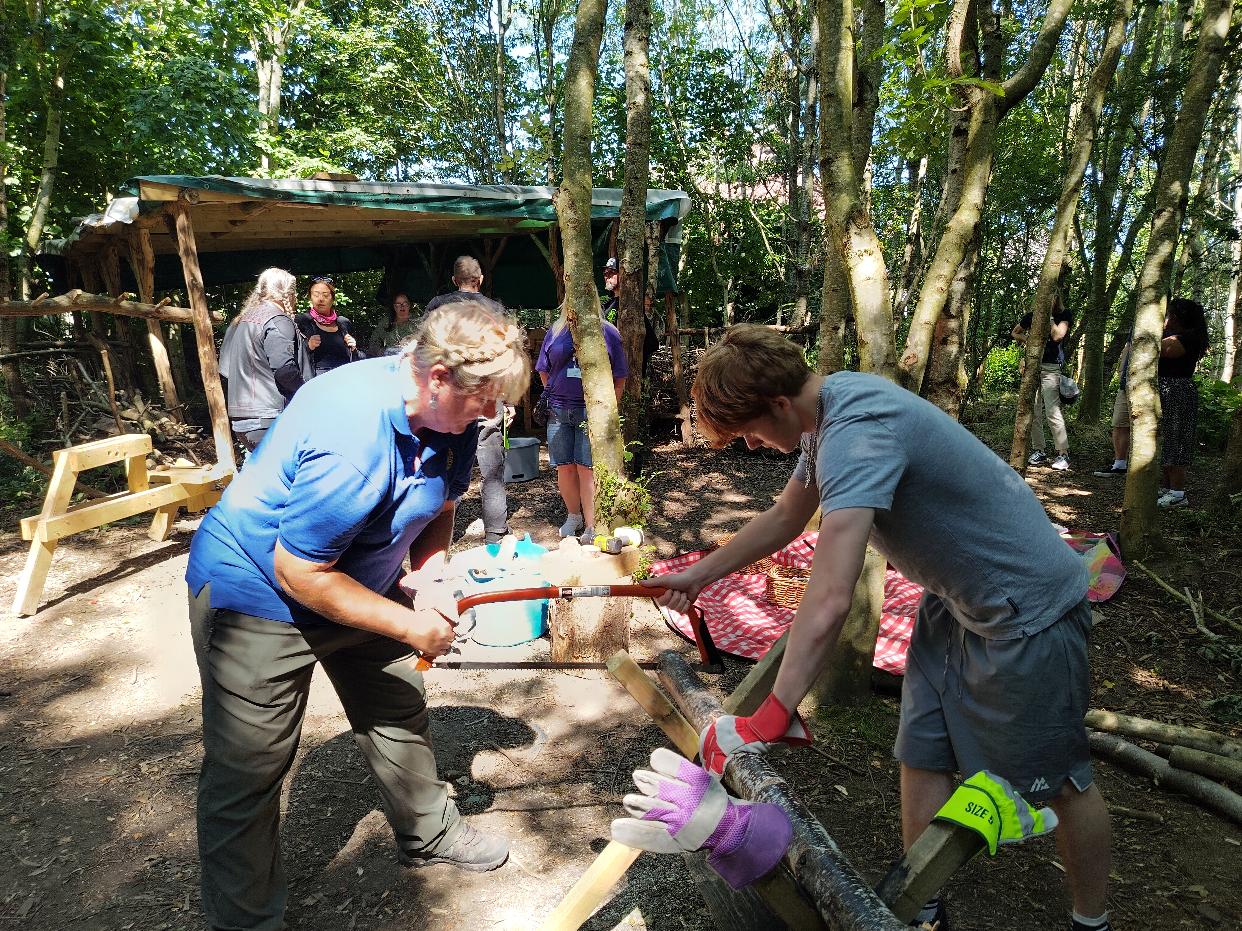 Behind the scenes: Discover the importance of Lightmoor's woodlands Image